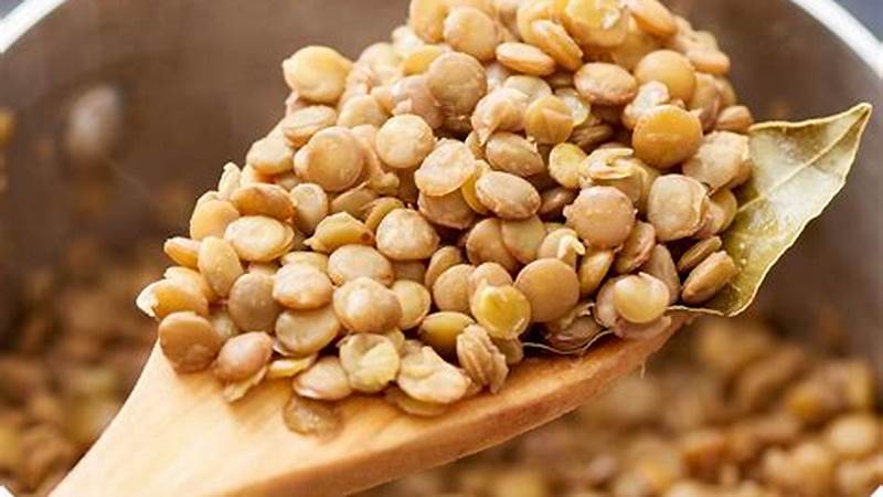 Master the Art of Cooking Lentil Beans with Ease | Cafe Impact
