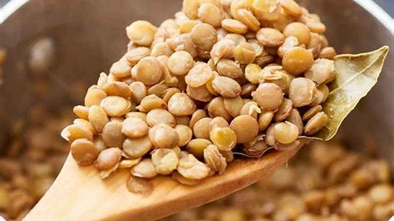 Master the Art of Cooking Lentils with These Easy Steps | Cafe Impact