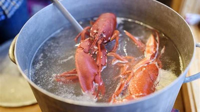 Master the Art of Cooking Live Lobsters | Cafe Impact