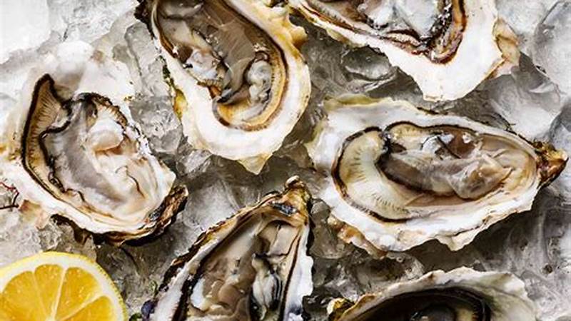 Discover the Art of Cooking Oysters at Home | Cafe Impact
