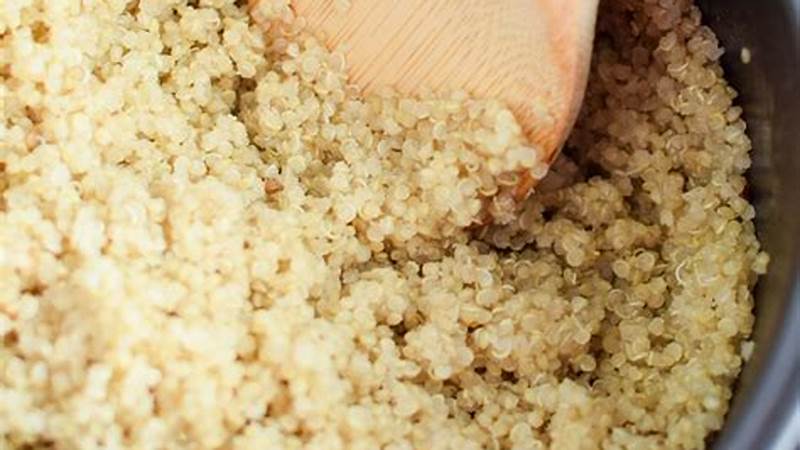 Mastering the Art of Cooking Quinoa | Cafe Impact