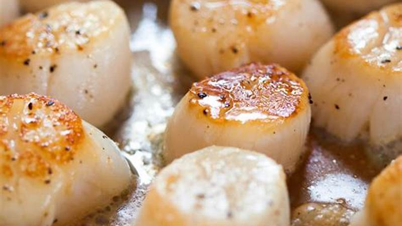 The Expert's Guide to Cooking Scallops | Cafe Impact