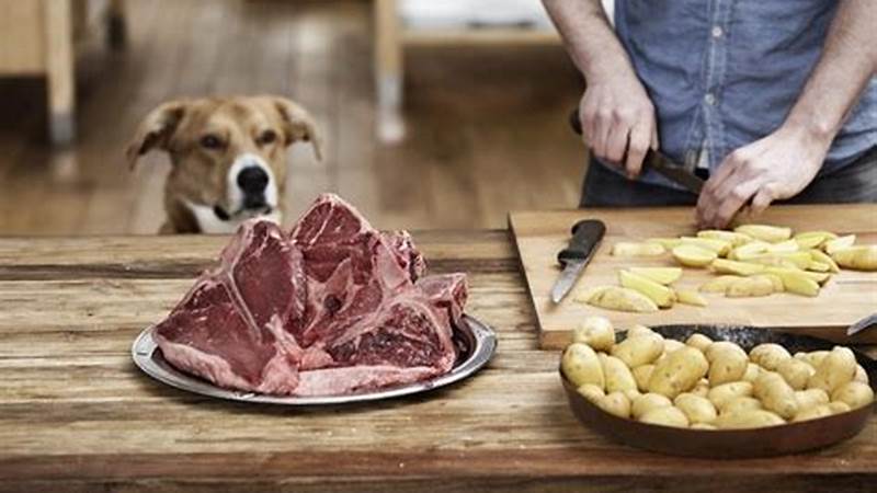 The Best Way to Cook Steak for Dogs | Cafe Impact