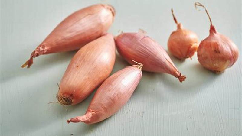 Cooking with Shallots: The Tasty Secret Ingredient | Cafe Impact