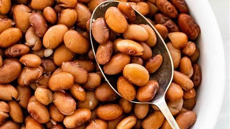 Discover the Best Techniques for Cooking Pinto Beans | Cafe Impact